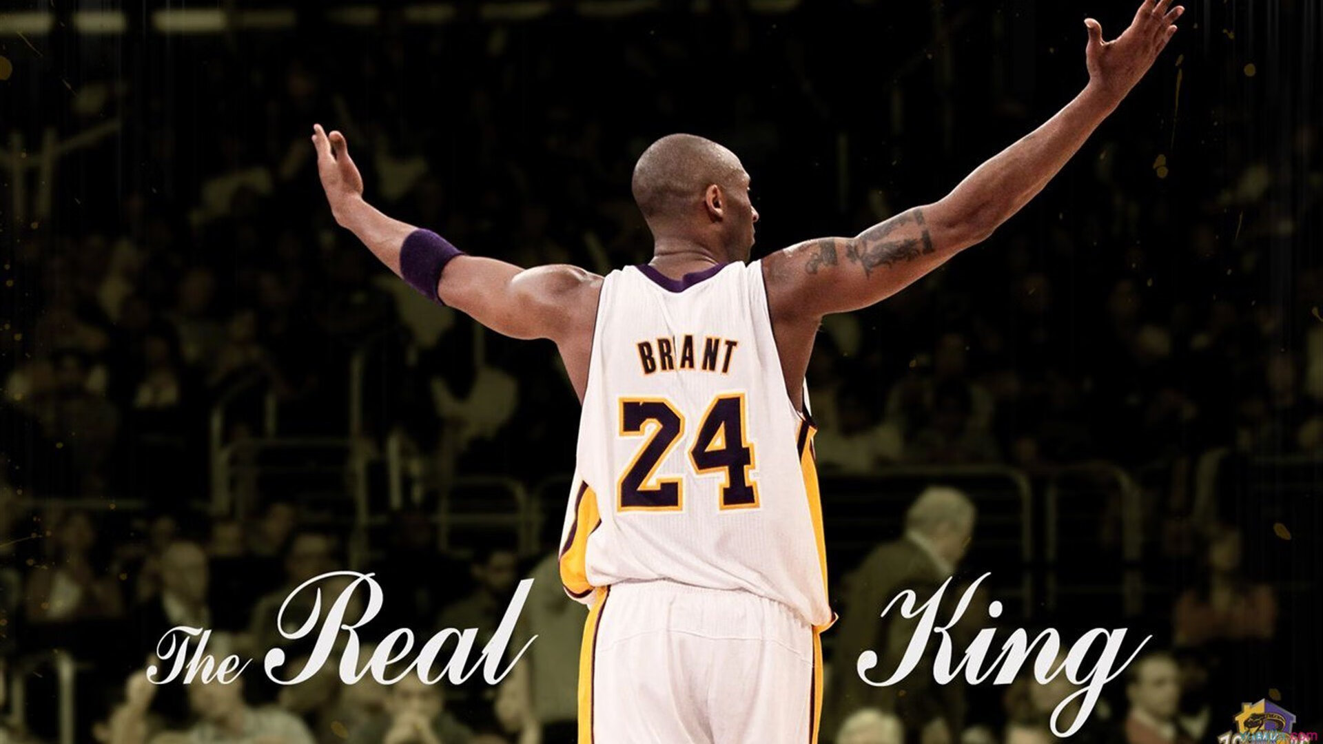 _极地极限跑：在白雪皑皑中奔跑_，极地雪地车